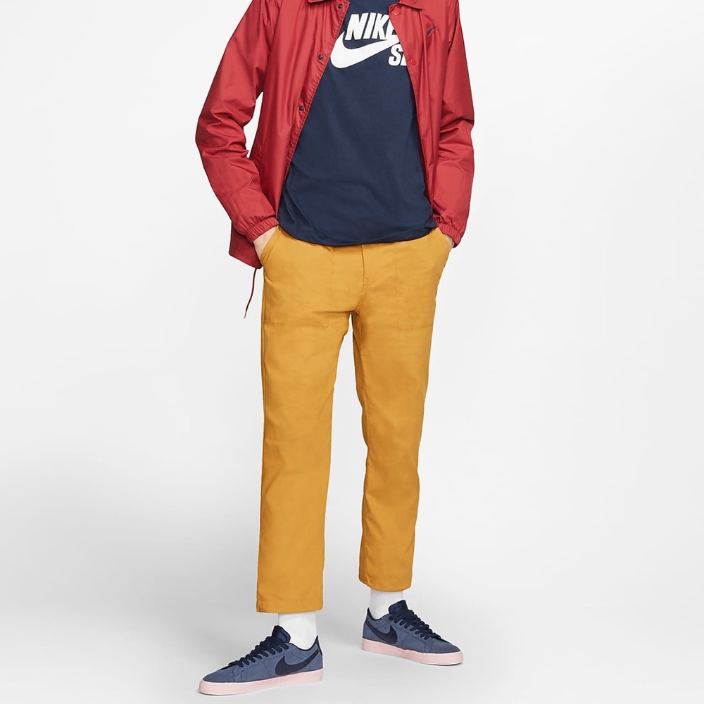 Nike SB dry pants
